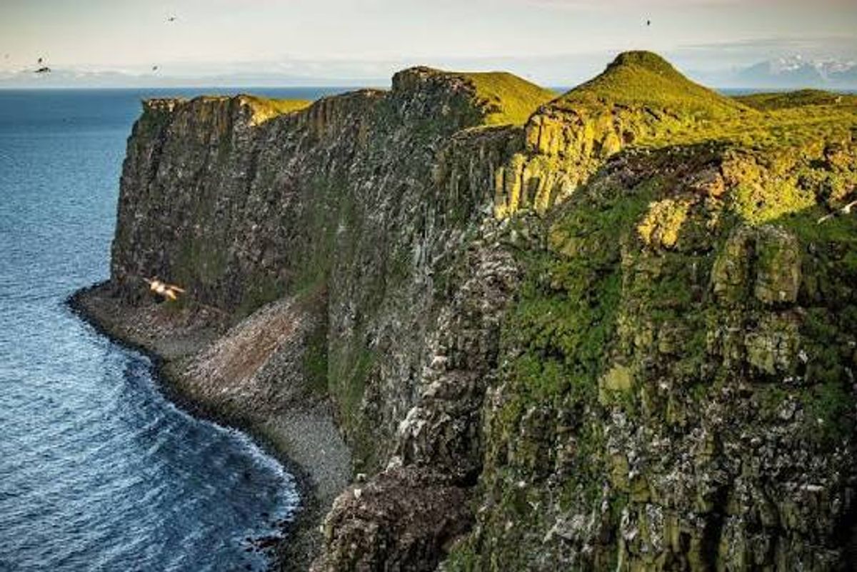 Björgin í Grímsey in north-iceland — photo 3
