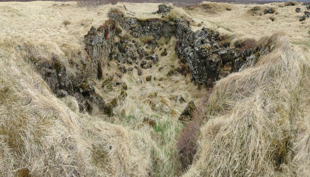 Skógarkot