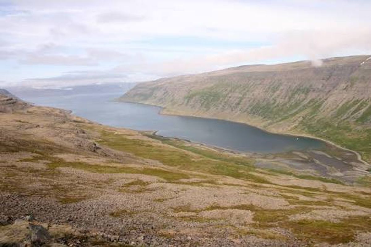 盖尔蒂约夫峡湾 in westfjords — photo 2