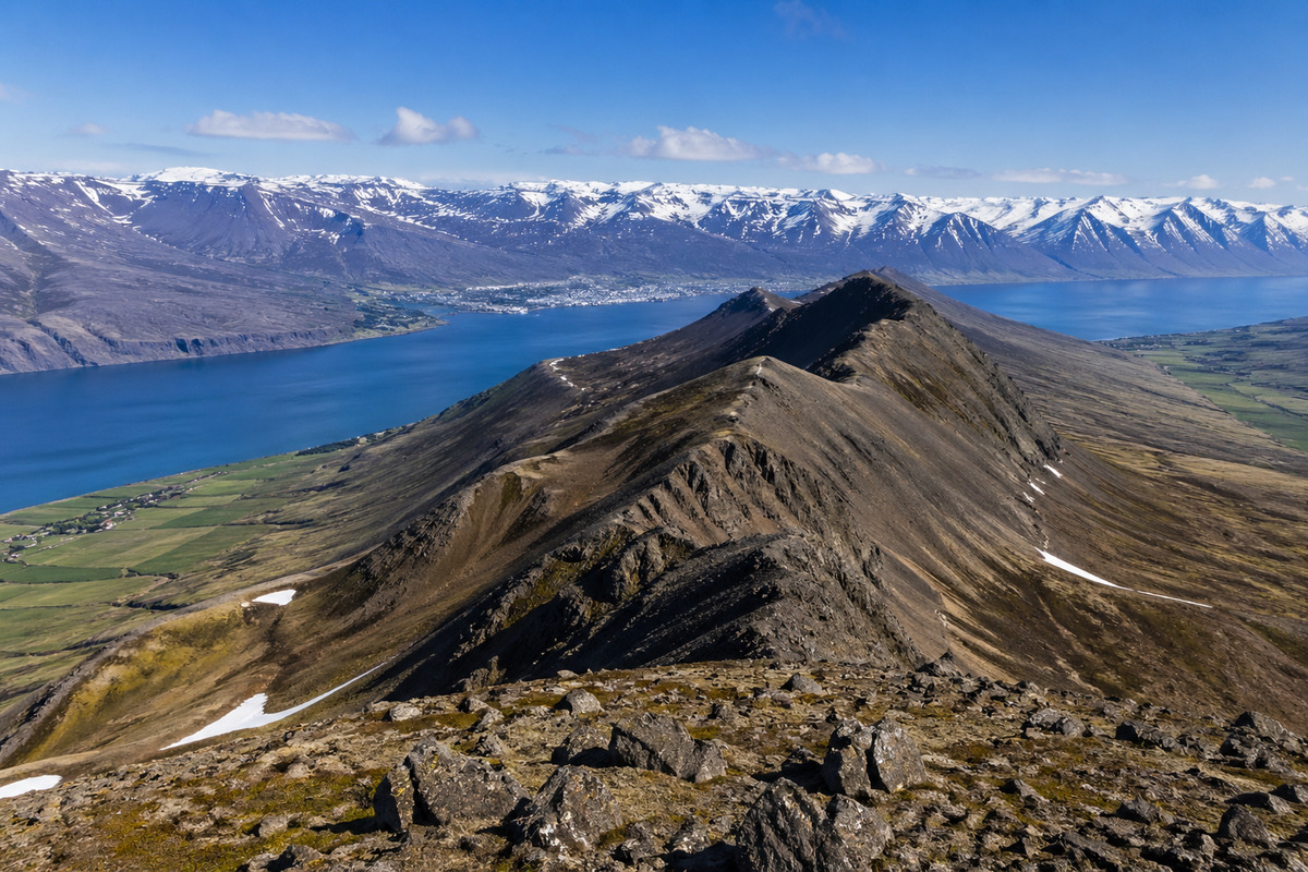 Ærfjallshöfuð