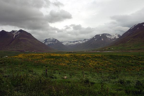 Hjaltadalur