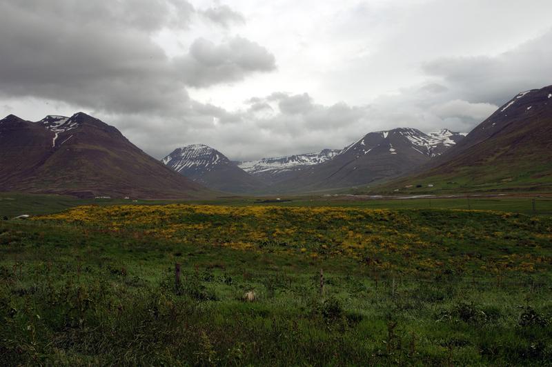 Hjaltadalur