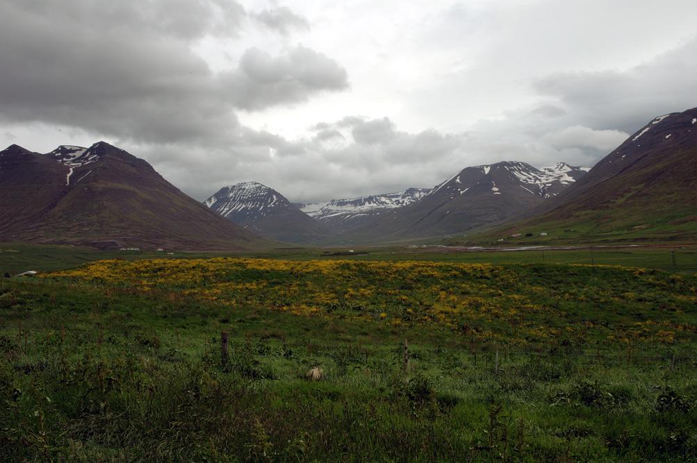 Grasárdalshnjúkur
