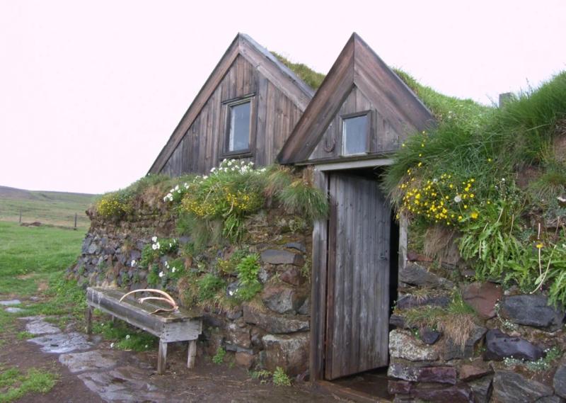 Sænautasel