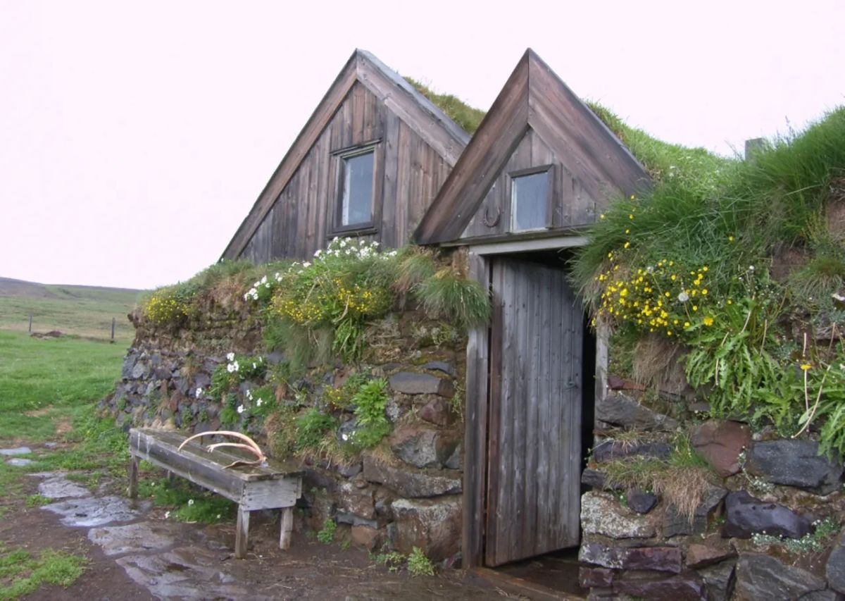 Sænautasel