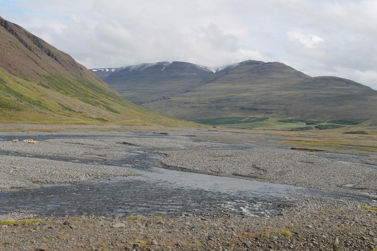 Norðurárdalur