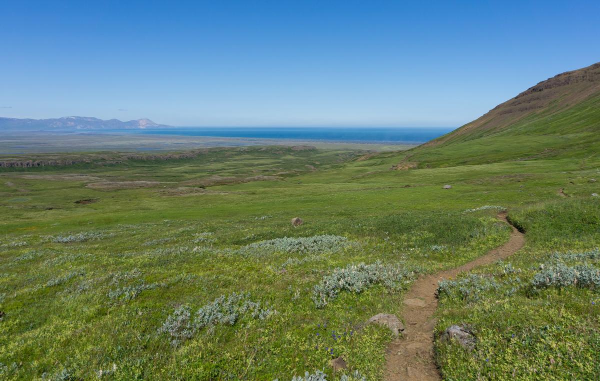 Storurd Trail