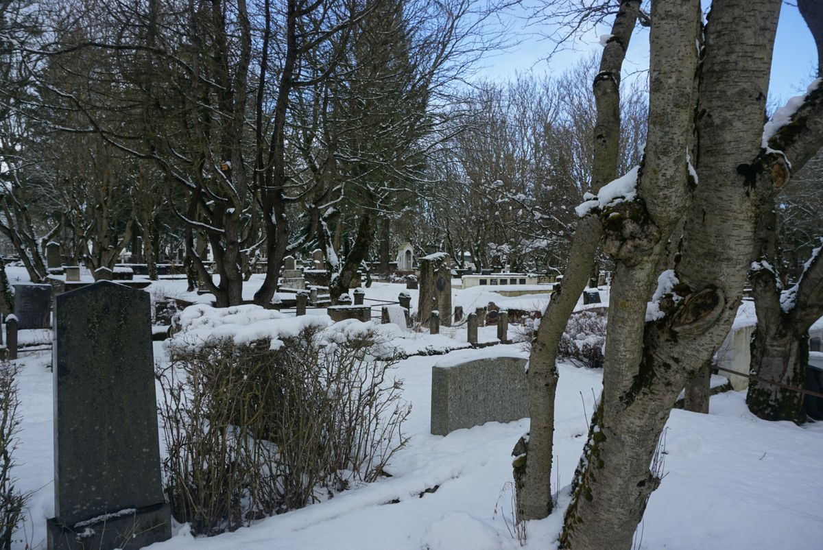 Hólavallagarður Cemetery photo 7