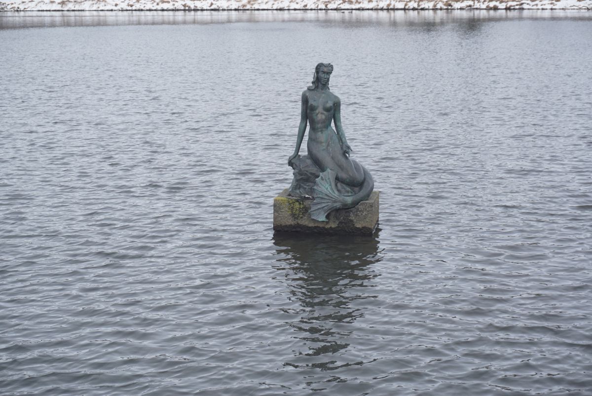 Tjörnin Pond – Reykjavík City Lake photo 2