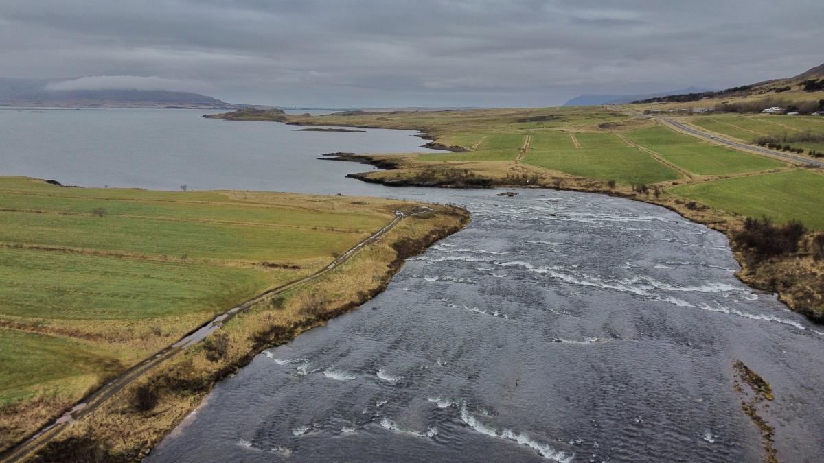 Laxá í Kjós