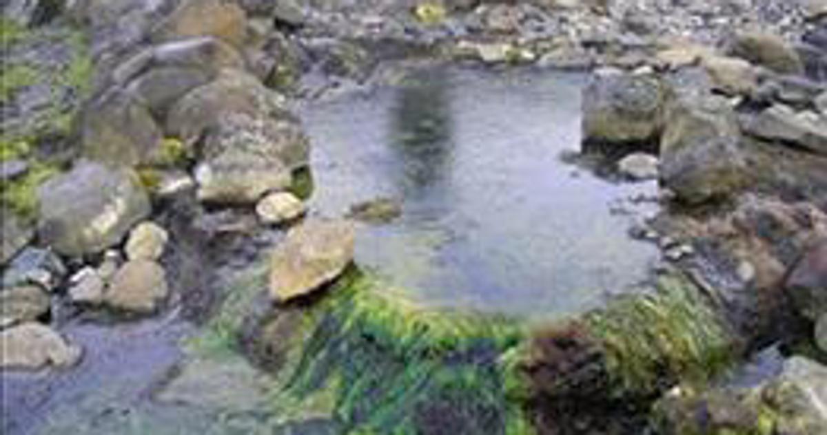 Hólsgerðislaug