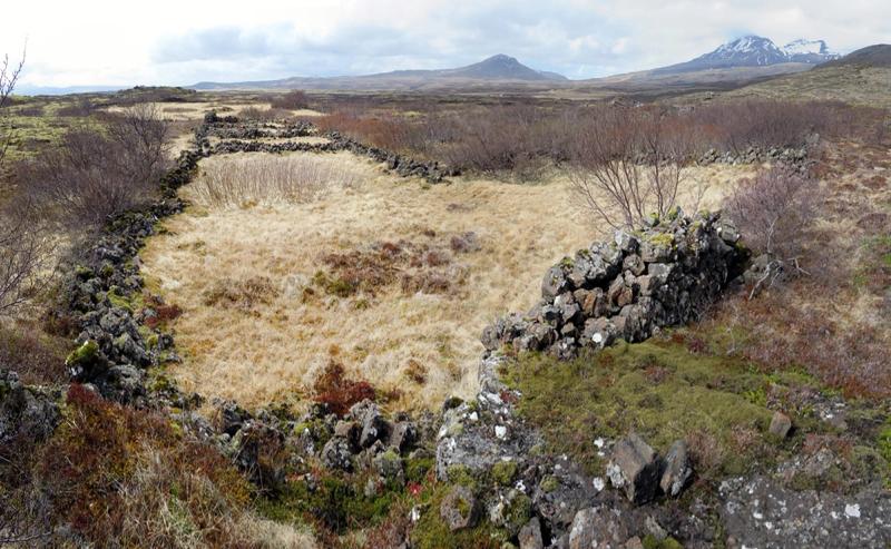 Þingvallarétt