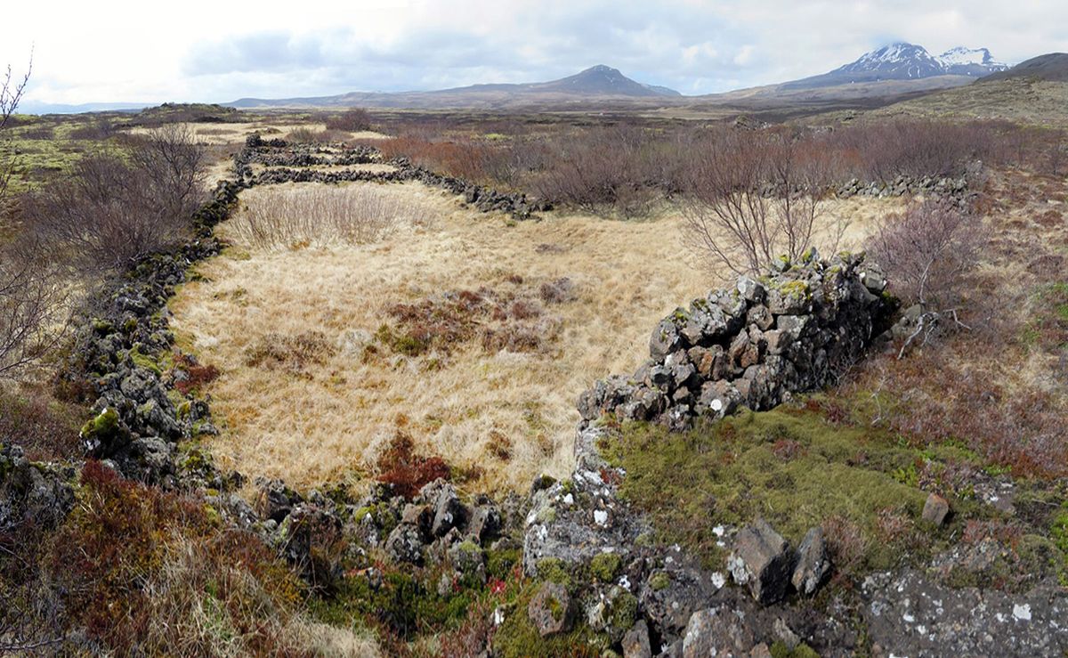辛格瓦拉雷特 in south-iceland — photo 2