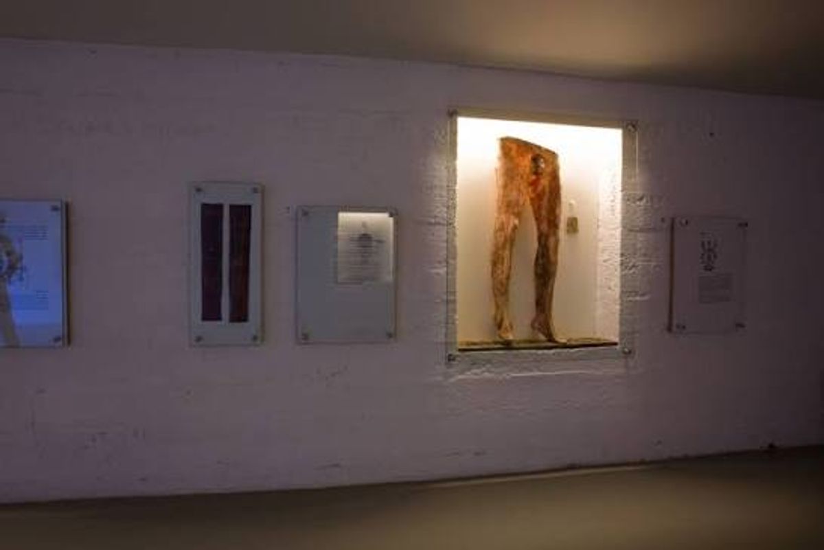 Museum of Icelandic Sorcery and Witchcraft in westfjords — photo 3