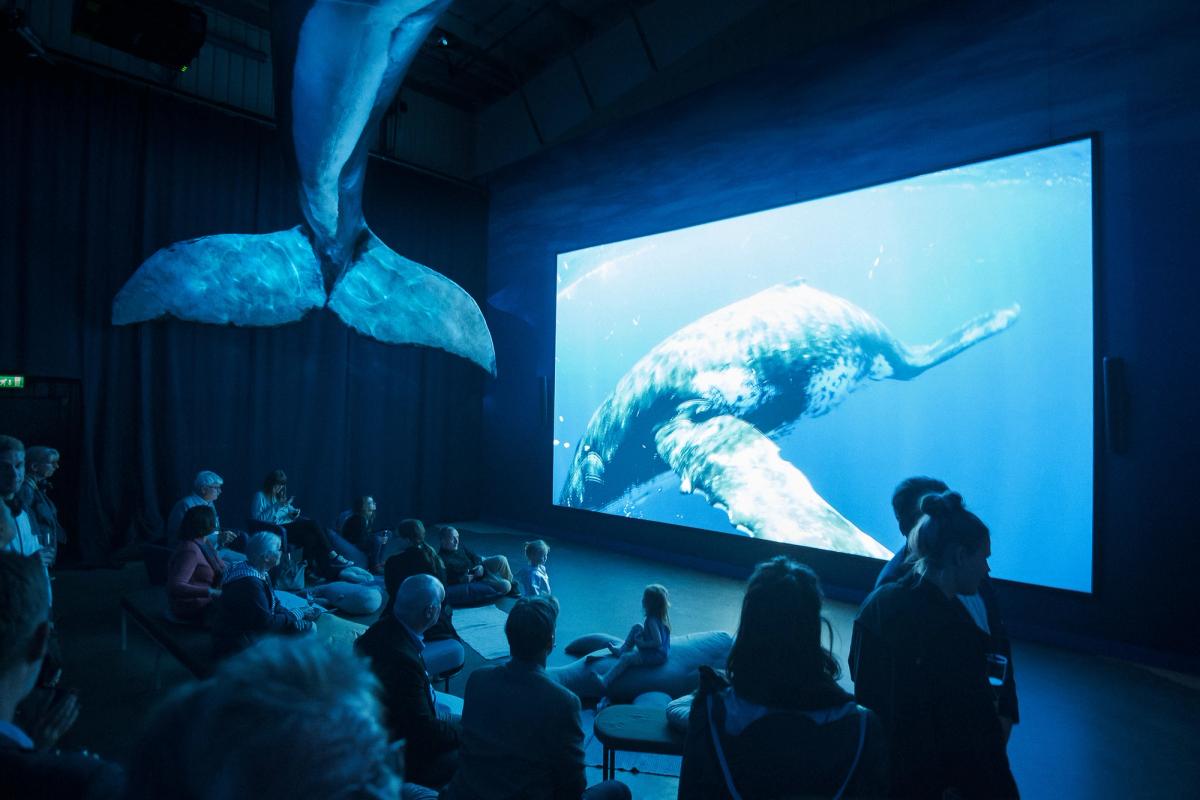 Whales of Iceland — Europe's Largest Whale Exhibition in capital-region