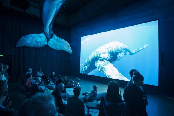 Whales of Iceland — Europe's Largest Whale Exhibition