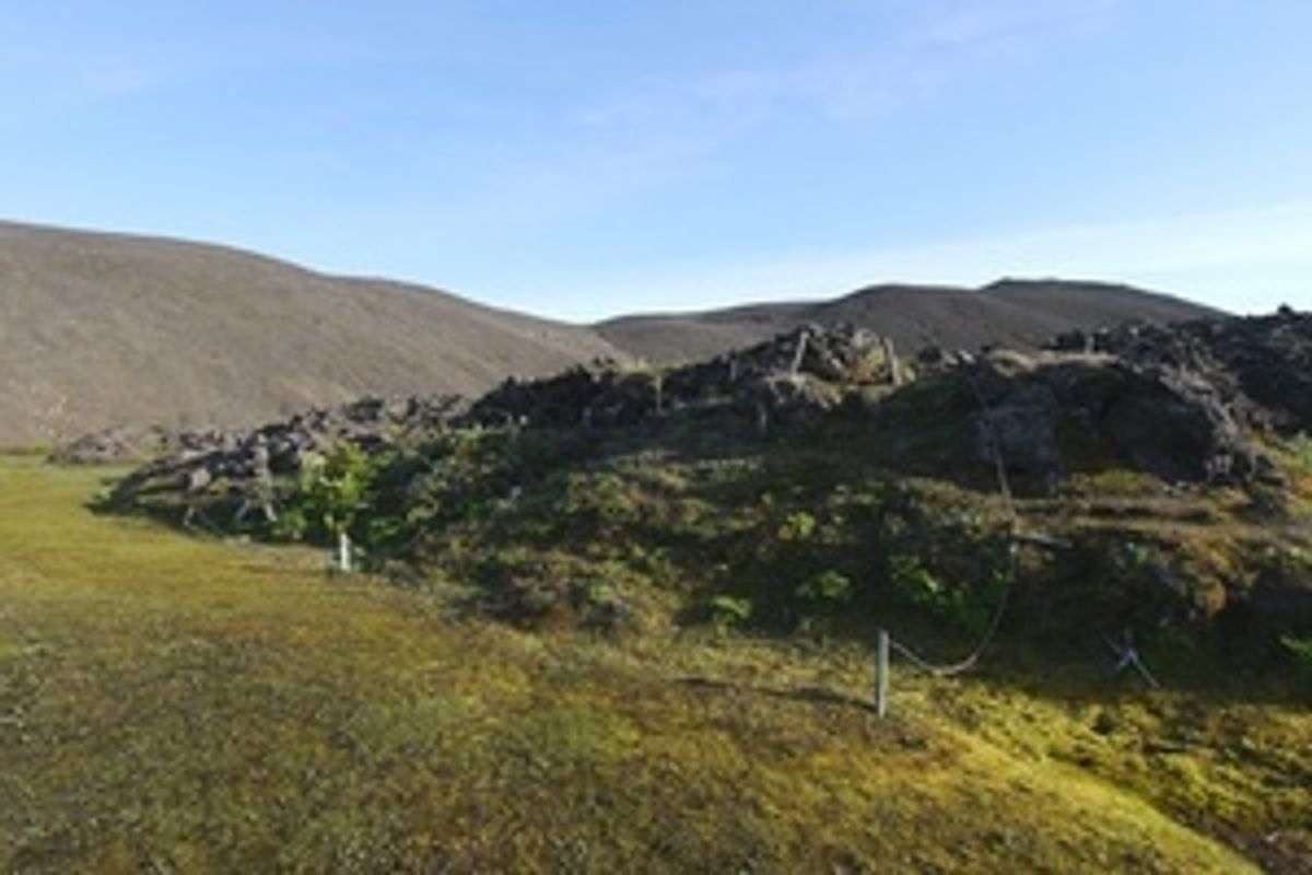 Hvannalindir in highlands — photo 2