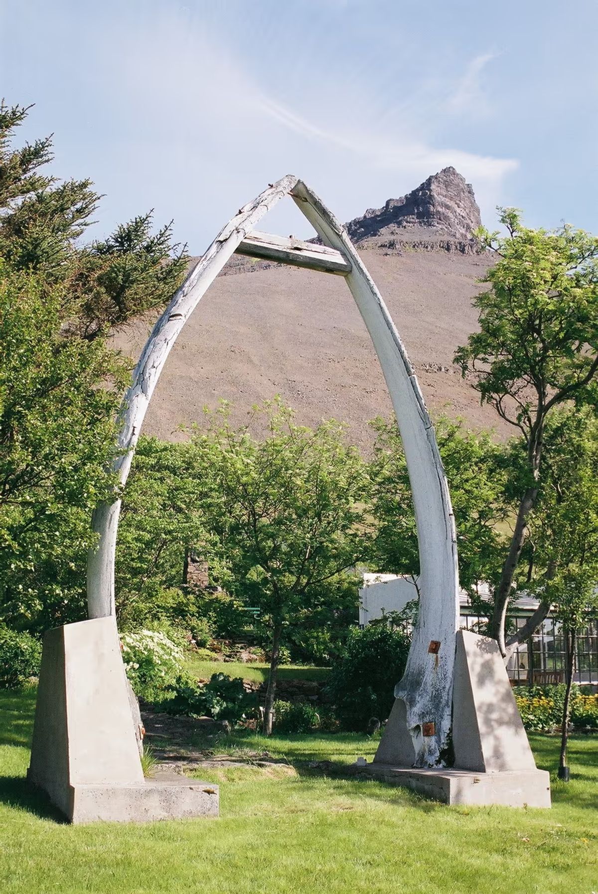 Skrudur Botanical Garden in westfjords