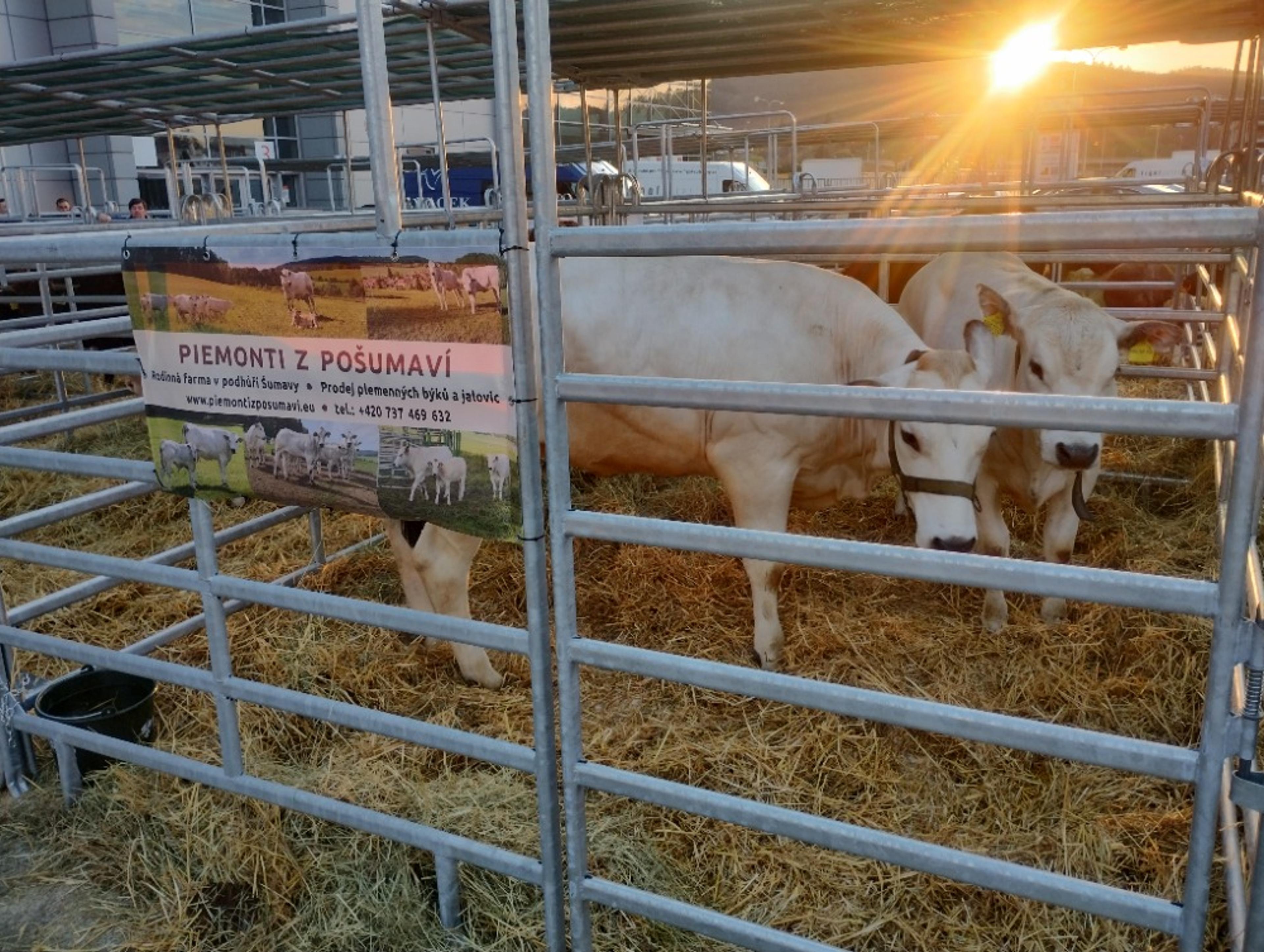 Národní výstava hospodářských zvířat Brno 2023