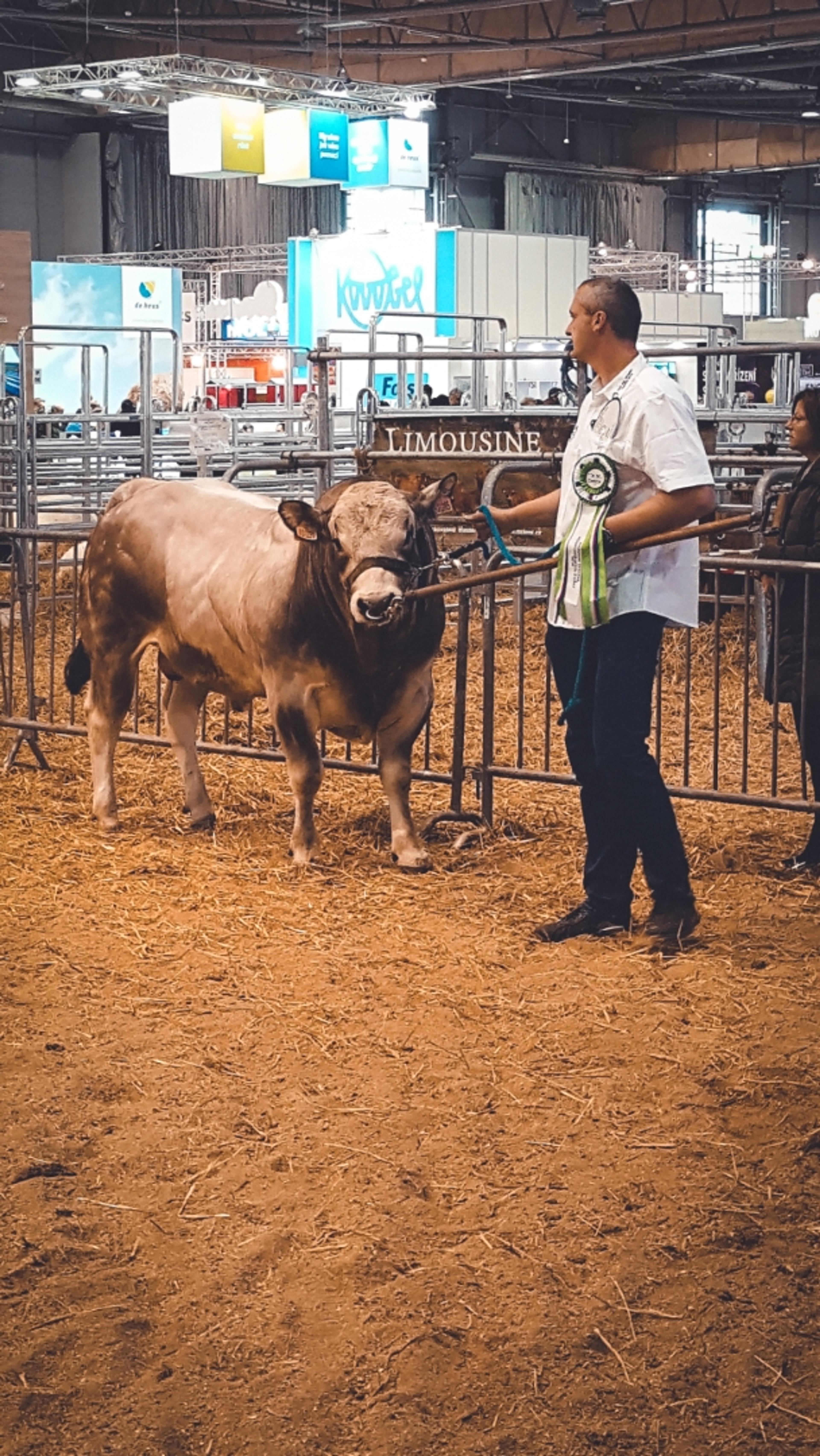 Národní výstava hospodářských zvířat Brno 2019