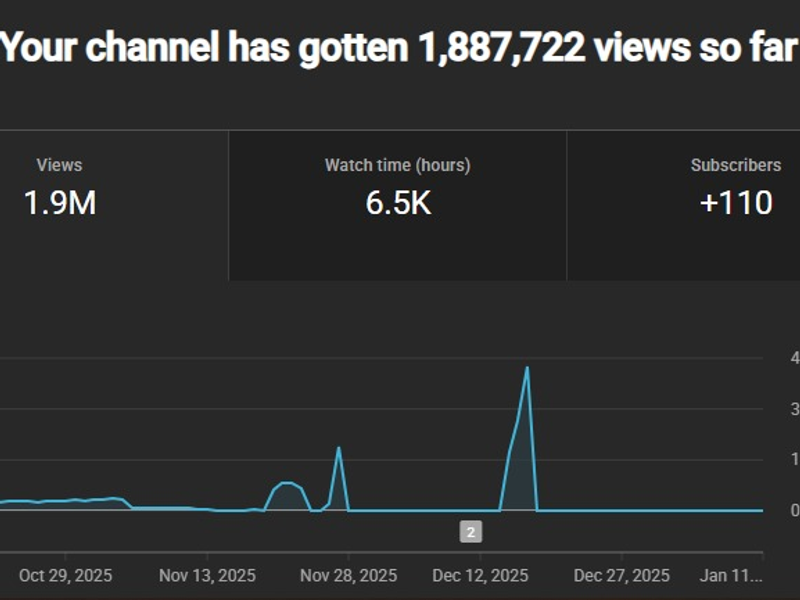 YouTube Campaign Result