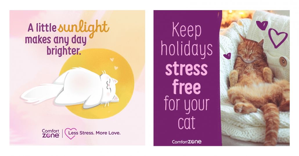stress free for your cat