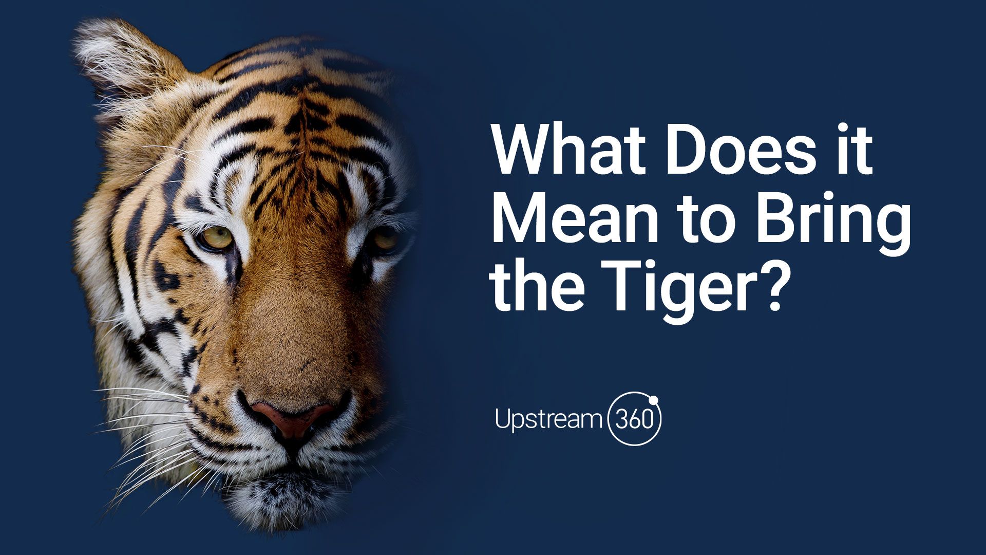 What Does it Mean to Bring the Tiger?