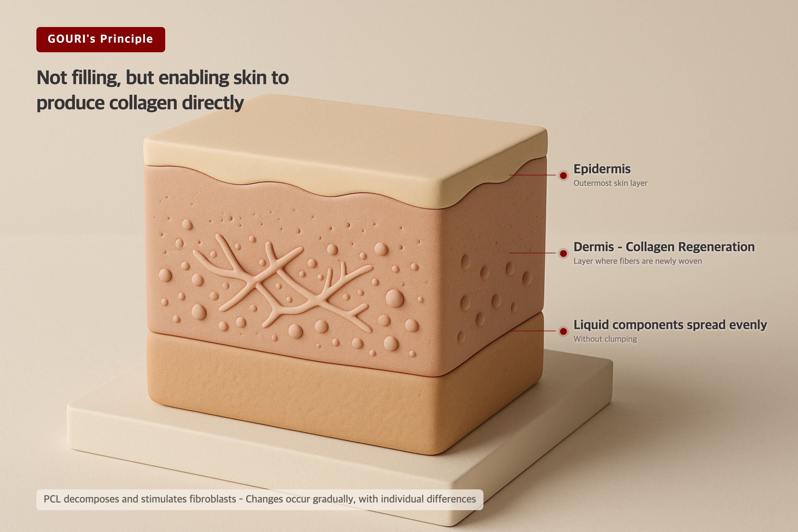 3D model showing collagen fiber formation within skin layers in warm beige tones