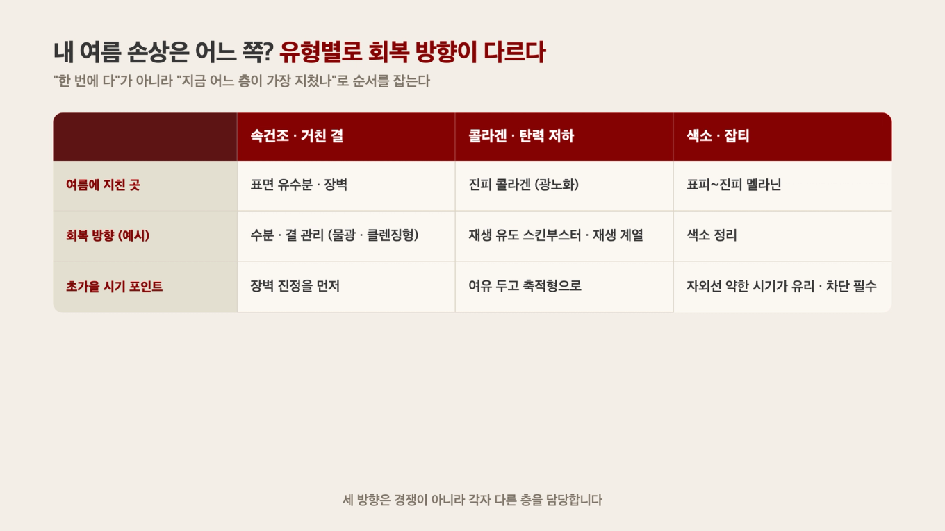 여름 손상 유형(속건조/거친 결 / 콜라겐/탄력 저하 / 색소/잡티)별로 회복 방향과 시기 주의점을 나눠 본 비교표