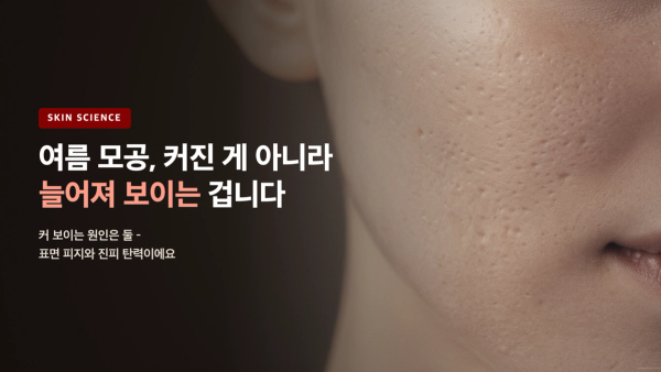 여름이면 모공이 커 보이는 이유 - 피지와 탄력의 과학