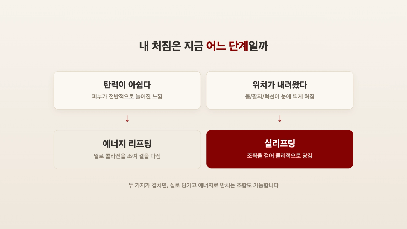 내 처짐이 탄력 저하 단계인지 위치가 내려온 단계인지에 따라 에너지 리프팅과 실리프팅으로 갈리는 판단 축 그래픽