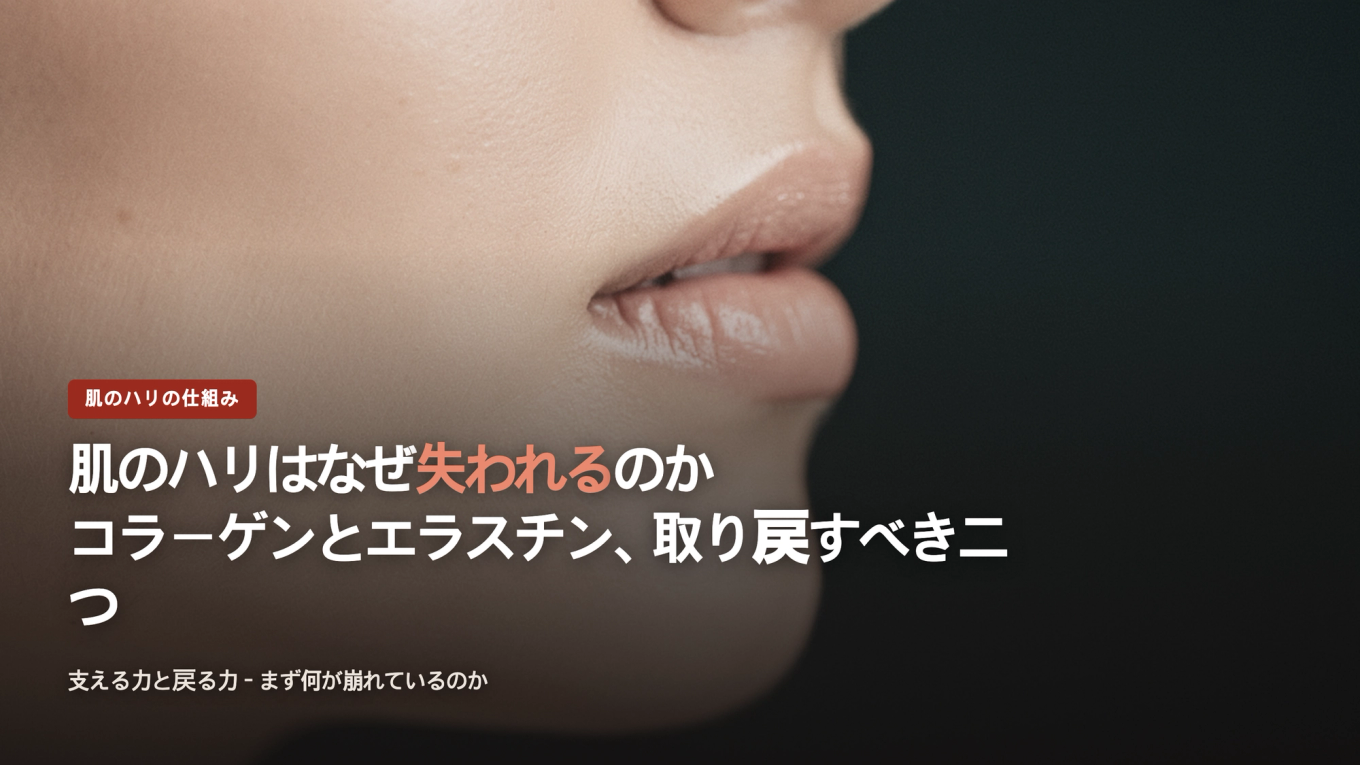 肌の弾力を支えるコラーゲンとエラスチン、再生が求められる二つの要素
