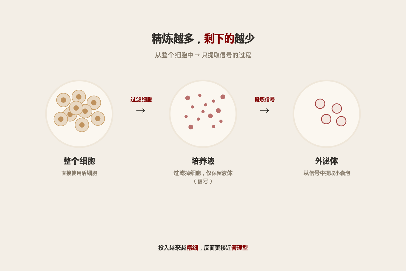 展示从整个细胞到培养液再到外泌体,越提纯剩下的越少的再生成分提纯步骤流程图