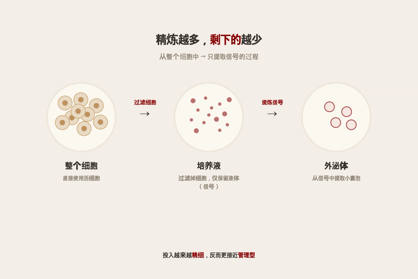 展示从整个细胞到培养液再到外泌体，越提纯剩下的越少的再生成分提纯步骤流程图