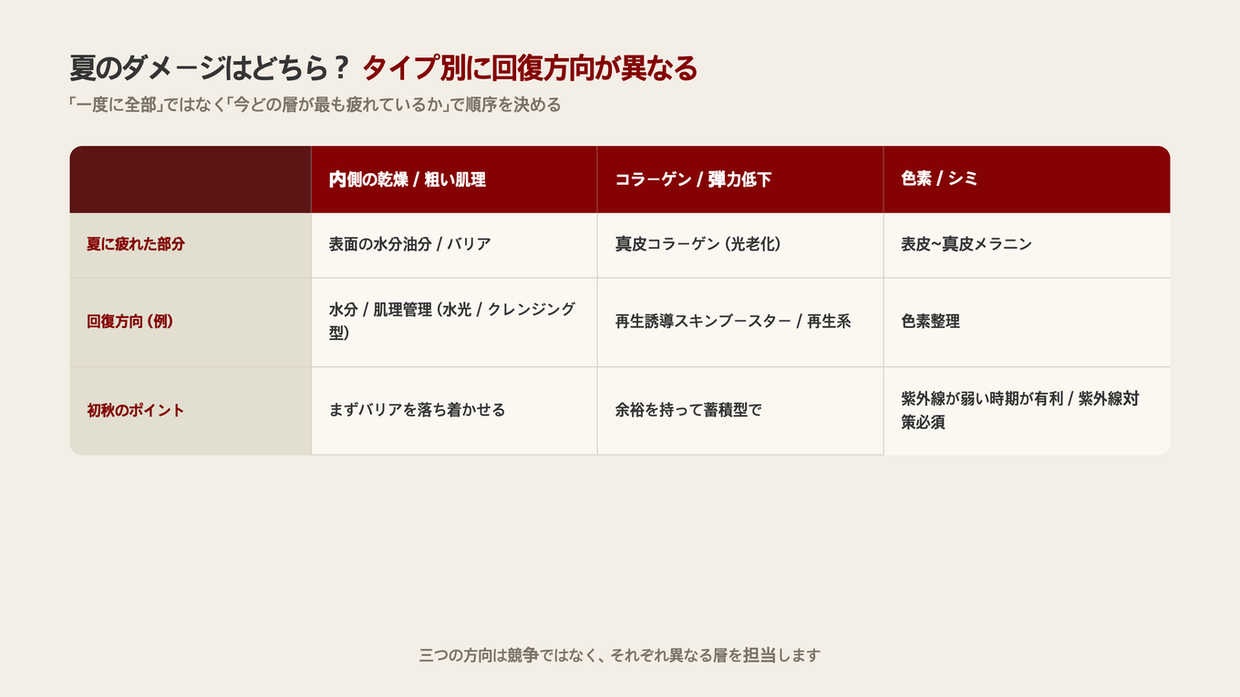 夏のダメージの種類(インナードライ/粗い質感 / コラーゲン/弾力低下 / 色素/シミ)別に回復方向と時期の注意点を分けた比較表