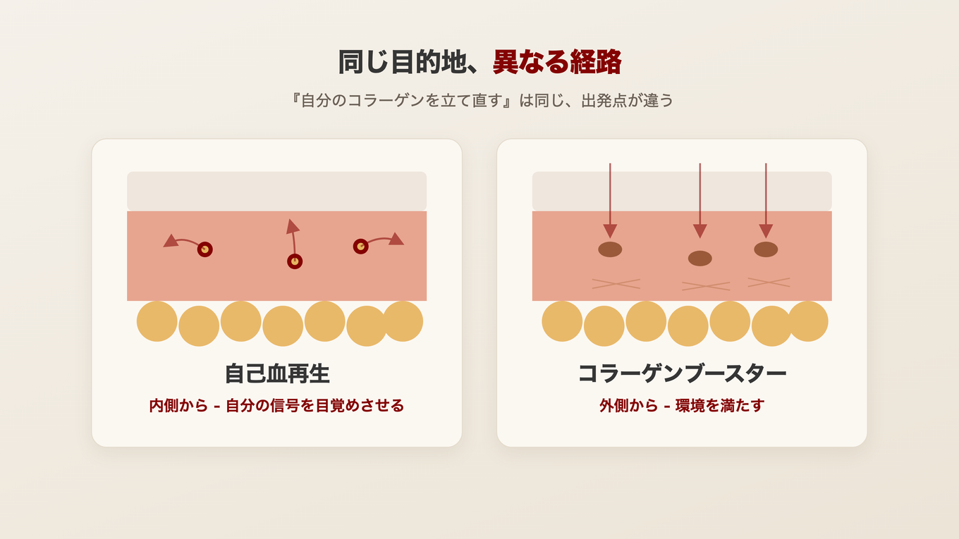 自分の回復信号を目覚めさせる自己血再生と成分を入れて環境を整えるコラーゲンブースター、目的地は同じで経路が異なる