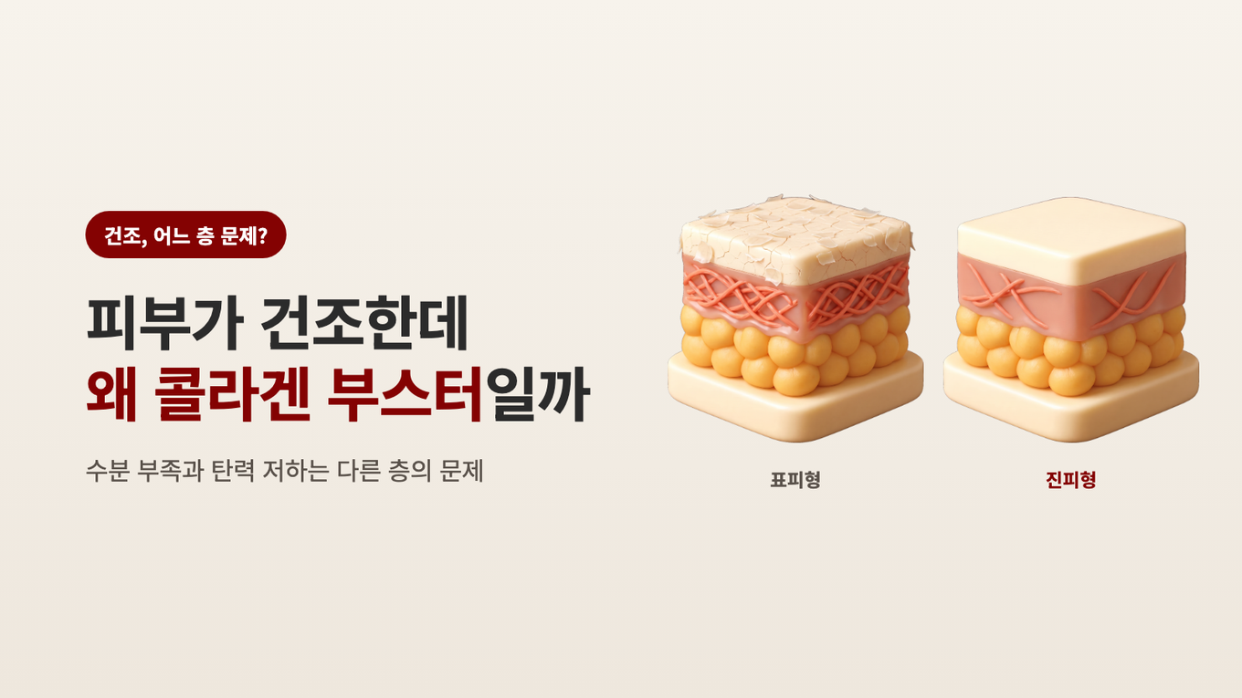 피부가 건조한데 왜 콜라겐 부스터일까 - 수분 부족과 탄력 저하는 다른 층의 문제