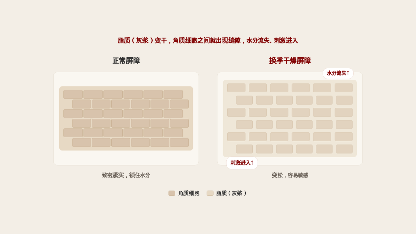 以砖墙比喻角质层屏障，正常屏障脂质紧密，而换季时脂质干燥出现缝隙 - 水分流失和刺激进入