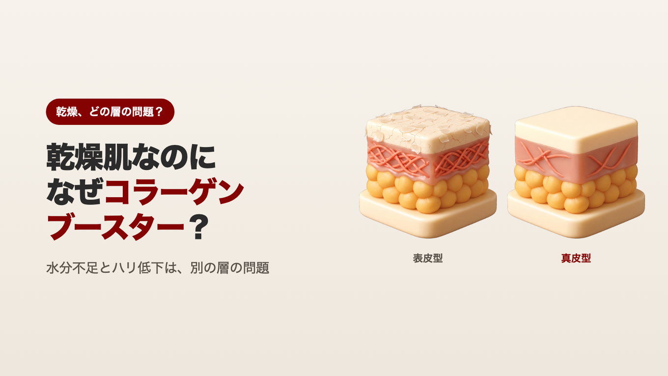 乾燥肌なのに、なぜコラーゲンブースター？ - 水分不足とハリ低下は肌の別の層の問題