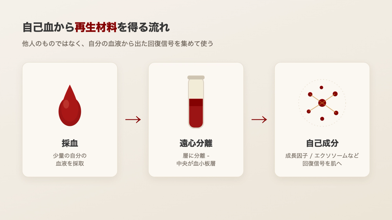 少量の血液を遠心分離して血小板が集まった血漿層を分け、そこから成長因子と信号物質を得る流れ