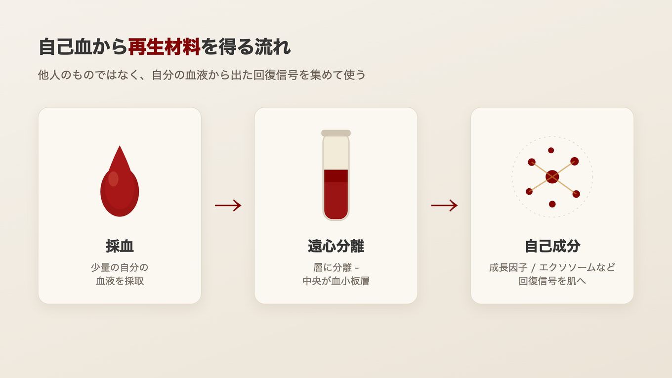 少量の血液を遠心分離して血小板が集まった血漿層を分け、そこから成長因子と信号物質を得る流れ