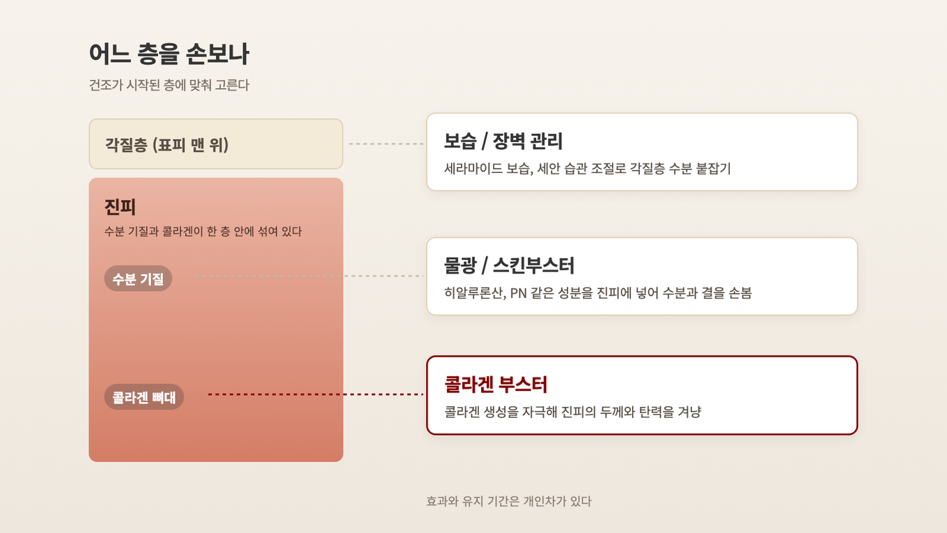 각질층은 보습과 장벽 관리, 진피의 수분과 결은 스킨부스터, 진피의 콜라겐 구조는 콜라겐 부스터가 겨냥한다