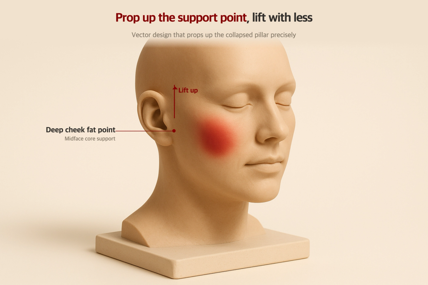 A 3D model diagram showing how accurately supporting key facial points can lift the entire face with minimal filler