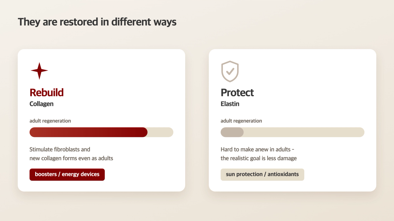 Comparison: Rebuilding Collagen vs. Protecting Elastin