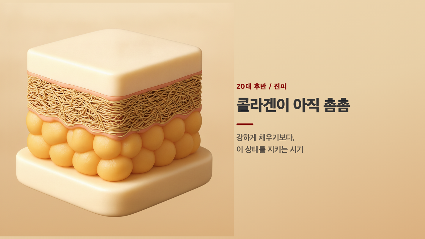 아직 콜라겐이 촘촘하게 차 있는 20대 진피, 지켜야 할 밑천이 넉넉한 상태