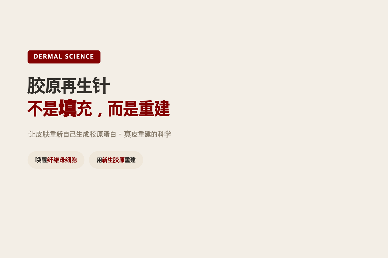 在真皮层中，纤维母细胞生成新胶原纤维的过程，暖米色调皮肤剖面3D模型示意图