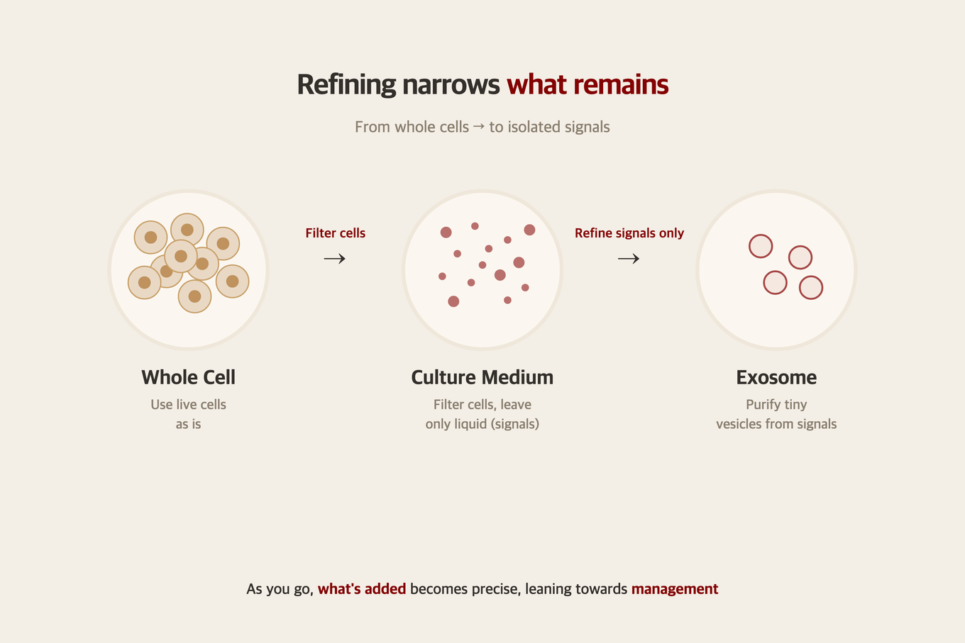 A refinement-step diagram showing what remains as you move from whole cells to cultured medium to exosomes