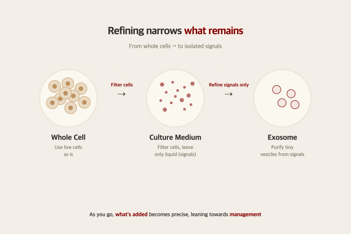 A refinement-step diagram showing what remains as you move from whole cells to cultured medium to exosomes