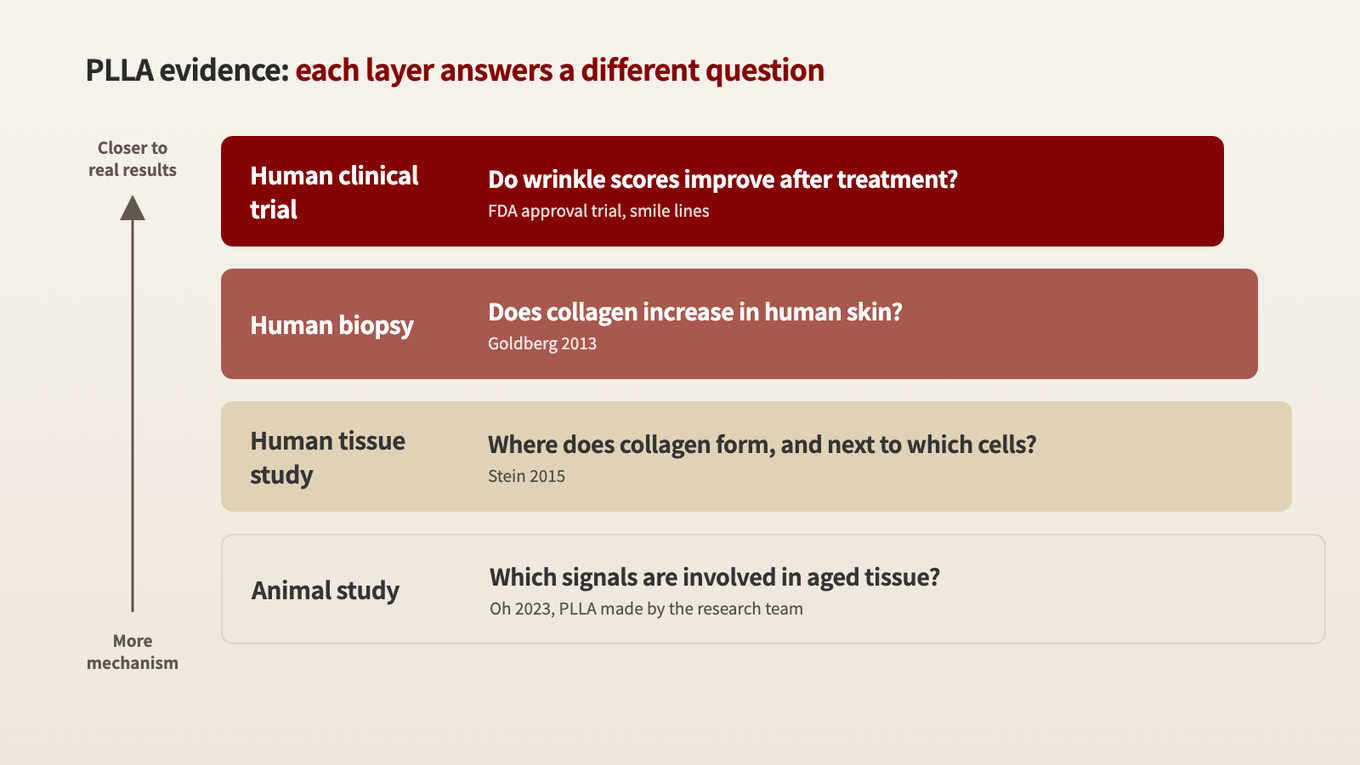 Human clinical trials are closest to real treatment results, and the closer you get to animal studies, the more detail you see about the mechanism