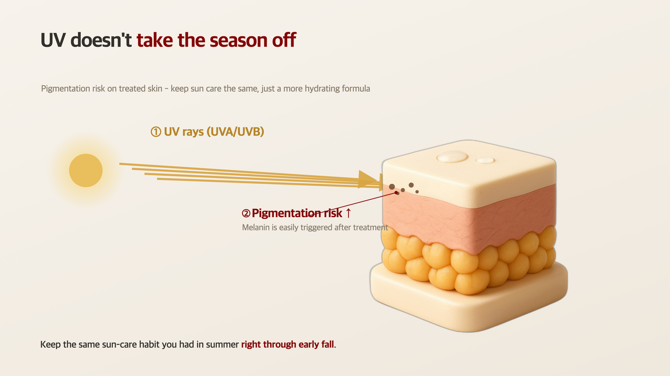 A 3D skin model showing how UV rays can increase the risk of pigmentation on post-treatment skin even in early fall
